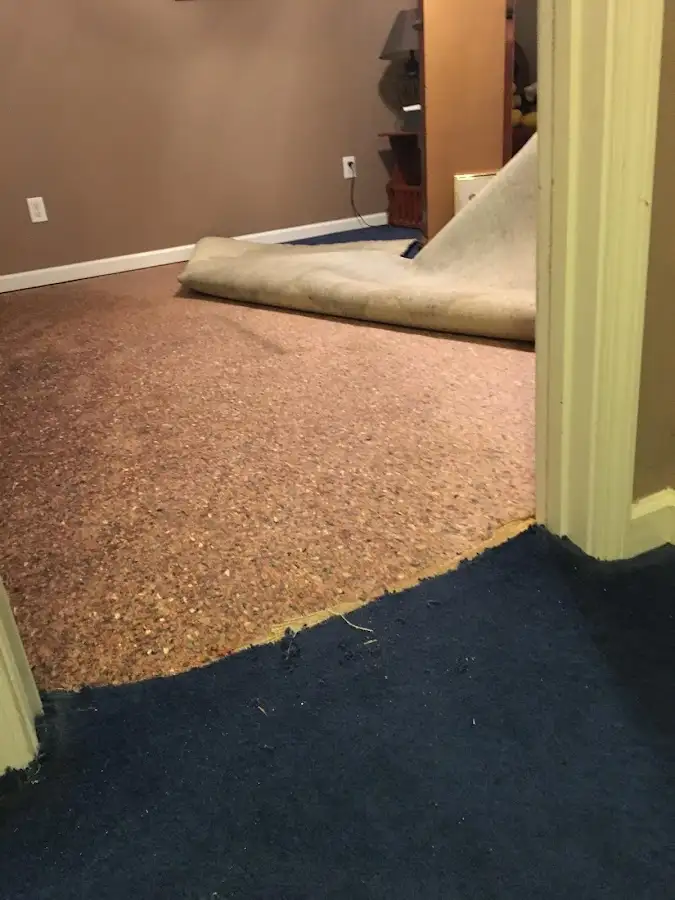 Carpet pad removal revealing water damage during Drying & Dehumidification in Pittston