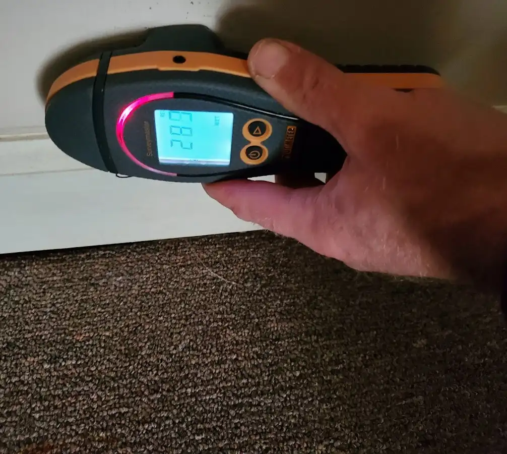 Moisture detection at baseboard during Mold Inspection & Testing in Pittston